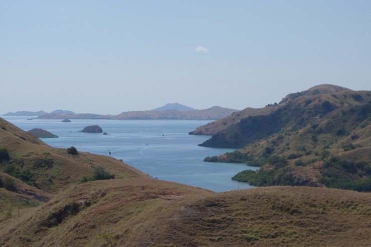 DSC09049